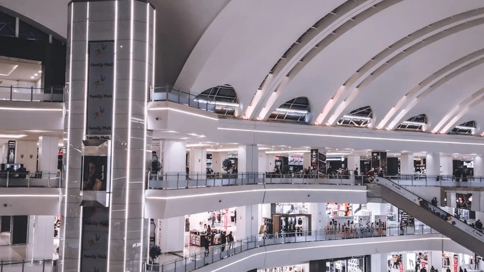 Crowded mall circulation during peak weekend traffic